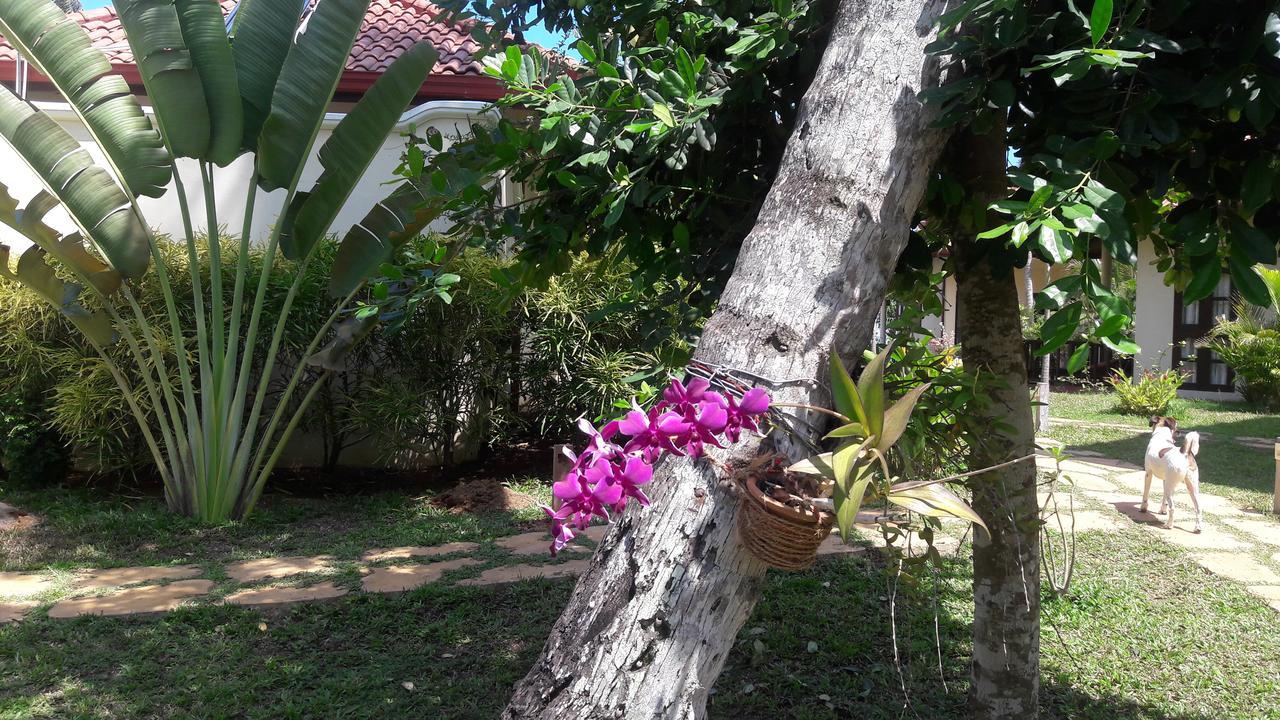 Lanka Beach Villa Rekawa Exterior foto